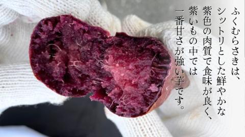 ふくむらさき 約5kg 【茨城県共通返礼品／行方市】2024年11月から発送開始 渋谷農園 さつまいも  いも 紫芋 芋 焼芋 [DT003sa]