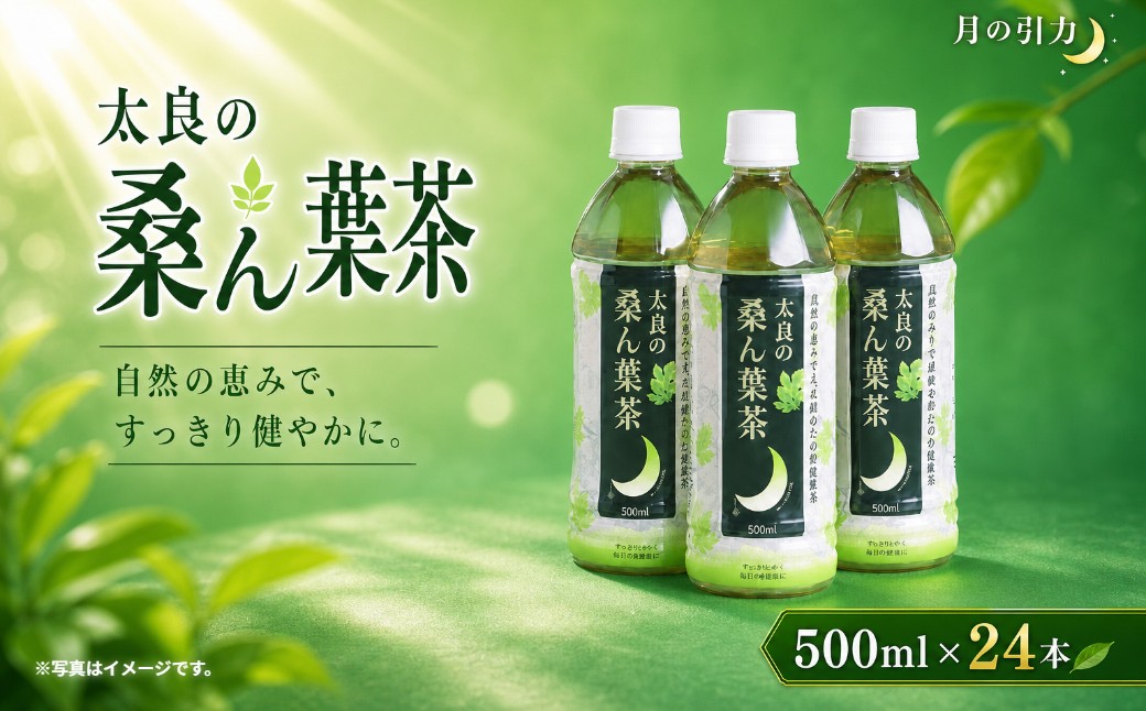 
                  O-134 太良の桑ん葉茶 (ペットボトル) 1箱 500ml×24本 ミネラル お茶 茶 飲料 国産茶 桑の葉茶 佐賀県 太良町
                