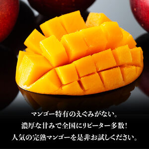 宮崎マンゴー「太陽の子」６玉【果物 フルーツ マンゴー 宮崎県産 みやざきマンゴー】