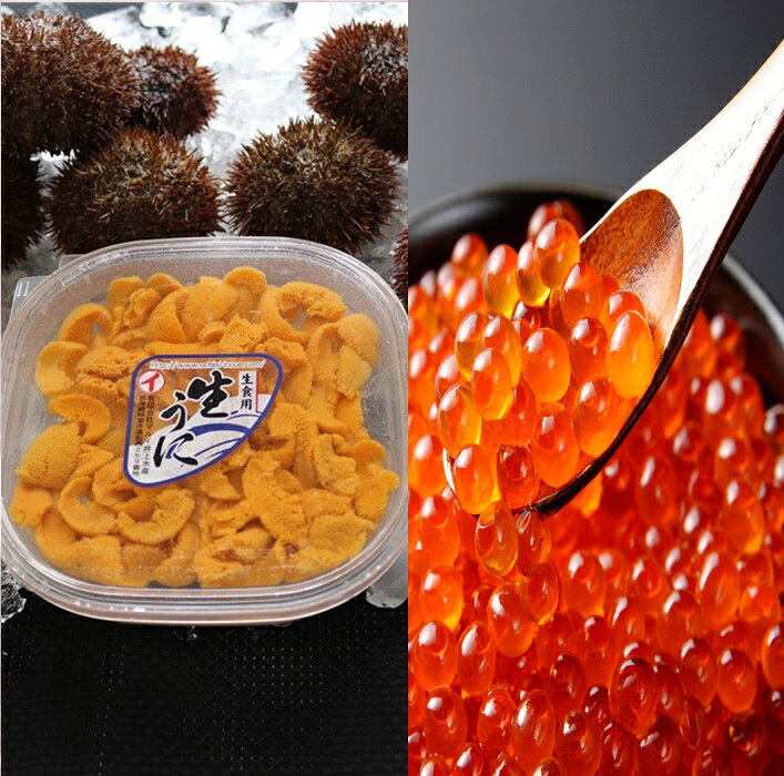 【ふるさと納税】 エゾバフンウニ塩水 100g × 2P、いくら醤油漬け(鱒卵) 150g × 2P [11月下旬以降発送] イクラ 醤油 醤油漬け 魚卵 鮭卵 うに 雲丹 バフンウニ エゾバフンうに えぞばふんうに 蝦夷バウンウニ 蝦夷ばふんうに グルメ 海鮮 北海道 E-71018