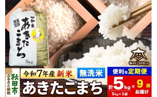 《令和7年産 新米受付》《定期便9ヶ月》あきたこまち 清流米 5kg 【無洗米】秋田市雄和産