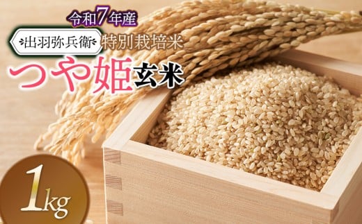 【令和7年産先行予約】特別栽培米 つや姫 【玄米】 1kg　山形県鶴岡市産　出羽弥兵衛