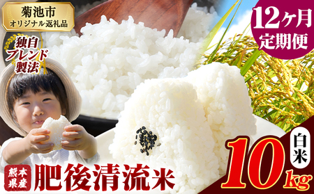 【12ヶ月定期便】肥後清流米 白米 10kg 熊本 支援