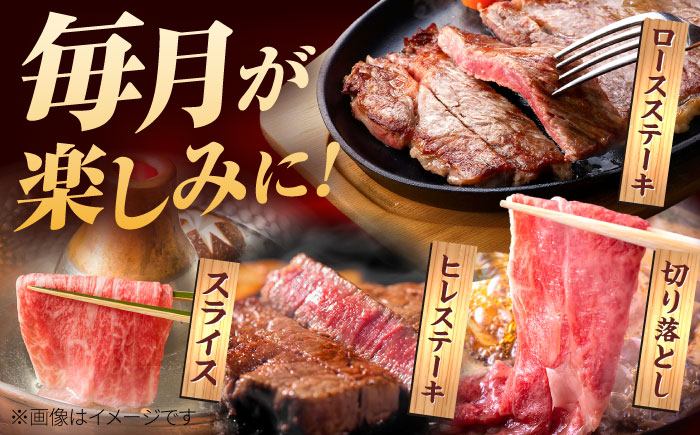 【肉のプロが厳選！】【全12回】佐賀牛 極上定期便【株式会社いろは精肉店】 [IAG079]