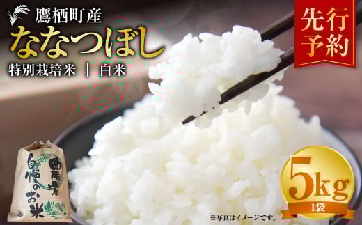 【令和7年産】 ななつぼし （白米） 5kg 米 お米 精白米 白米 こめ 北海道 鷹栖町 【2025年9月下旬より発送開始】