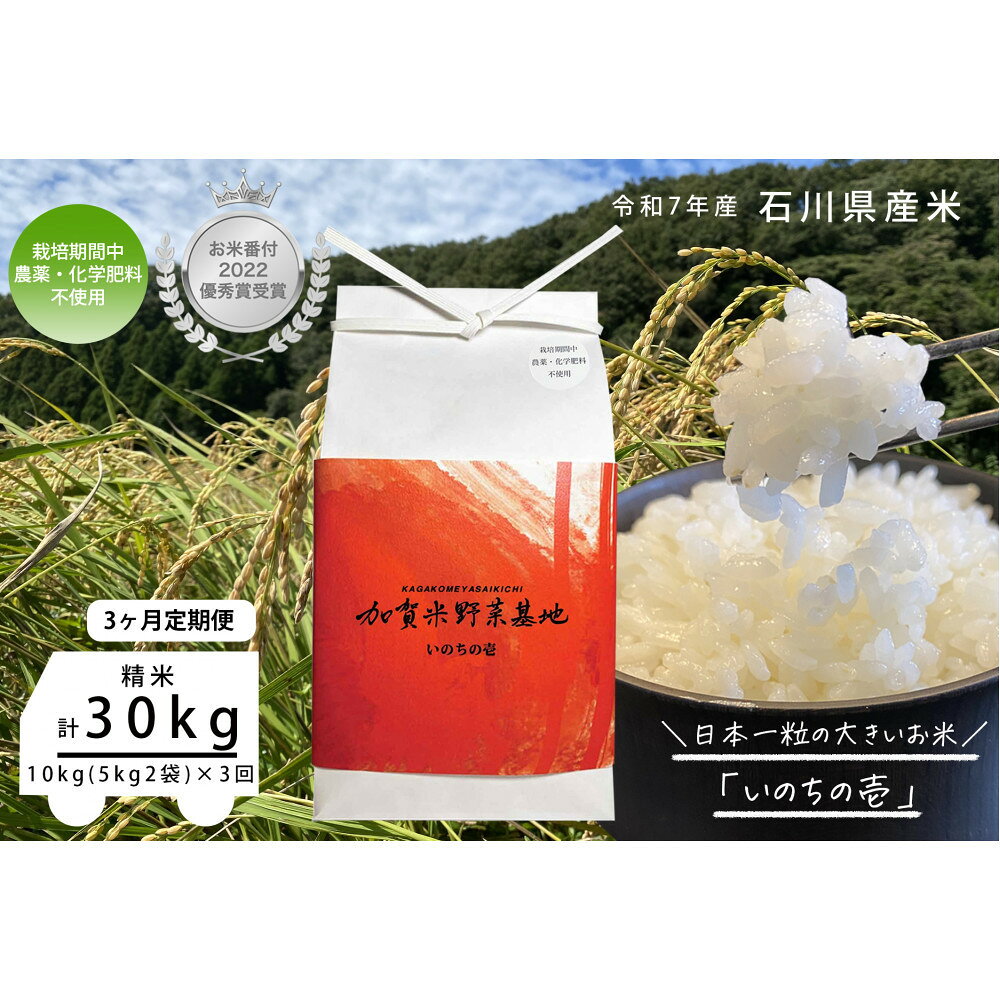 【ふるさと納税】【3ヶ月定期便】【お米番付優秀賞受賞農家】日本一粒の大きいお米『いのちの壱』白米10kg×3回 | 金沢市 お米 いのちの壱 おすすめ 人気 送料無料