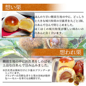 道の駅きなはい屋「想い・想われ」栗菓子セット(６個入) SSF0018