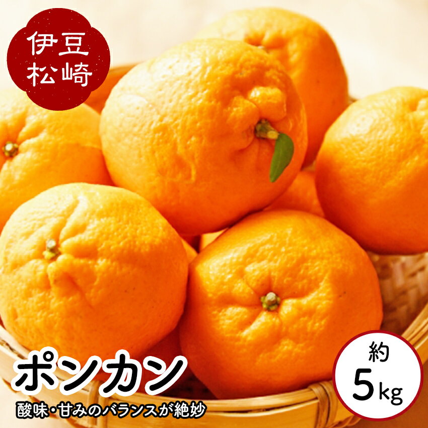 【ふるさと納税】鈴切農園 ポンカン 約5kg（12月中旬～順次発送）