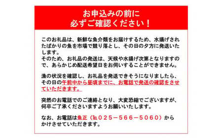 日本海直送 旬の鮮魚詰め合せ【魚種7種程度】鮮魚ボックス 魚のプロが選んだ厳選魚 新潟 糸魚川 能生漁港から朝獲れ新鮮な魚をお届け 生 (国産 天然 海鮮 お刺身 魚介類セット 鮮魚BOX 便利 簡単