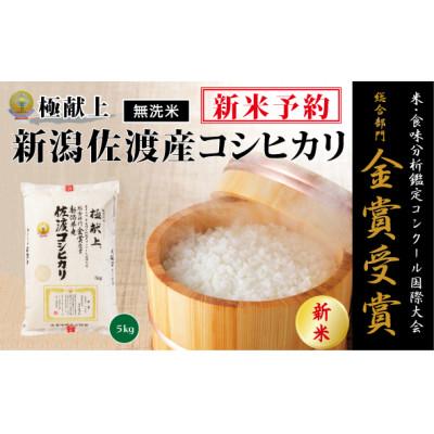ふるさと納税 佐渡市 新米予約<無洗米>【令和8年産】食味鑑定コンク-ル金賞　新潟県佐渡産5kg×1　　