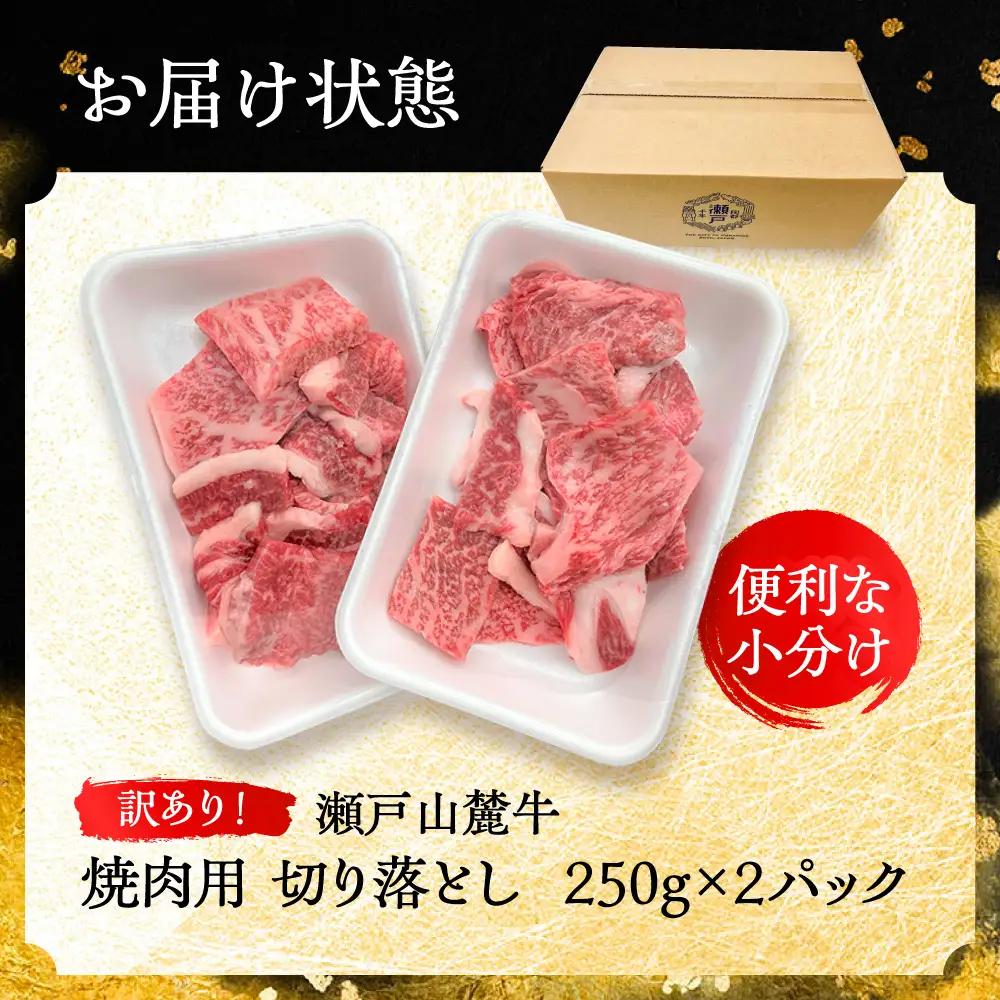 【訳あり】瀬戸山麓牛焼肉用切り落とし500g（250g×2P）/ 牛肉 お肉 国産 冷凍  [BBBQ047]