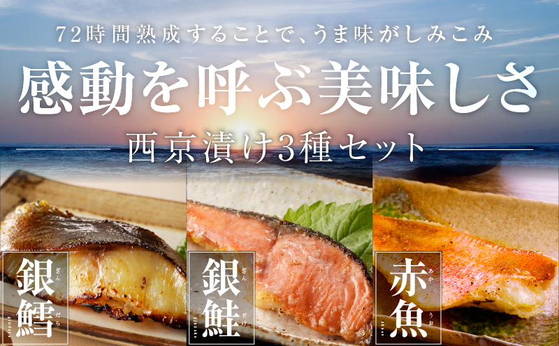 熟成西京漬け 3種16切れ 食べ比べセット（銀だら／銀鮭／赤魚）【惣菜 味噌 海産物 魚 小分け お酒のあて 訳あり サイズ不揃い 切り落とし】