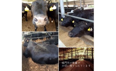 阿波黒牛ステーキ用 400g (サーロイン・モモ各200g)  阿波黒牛 国産 高級 ギフト 敬老の日 お歳暮 牛肉ステーキ サーロイン
