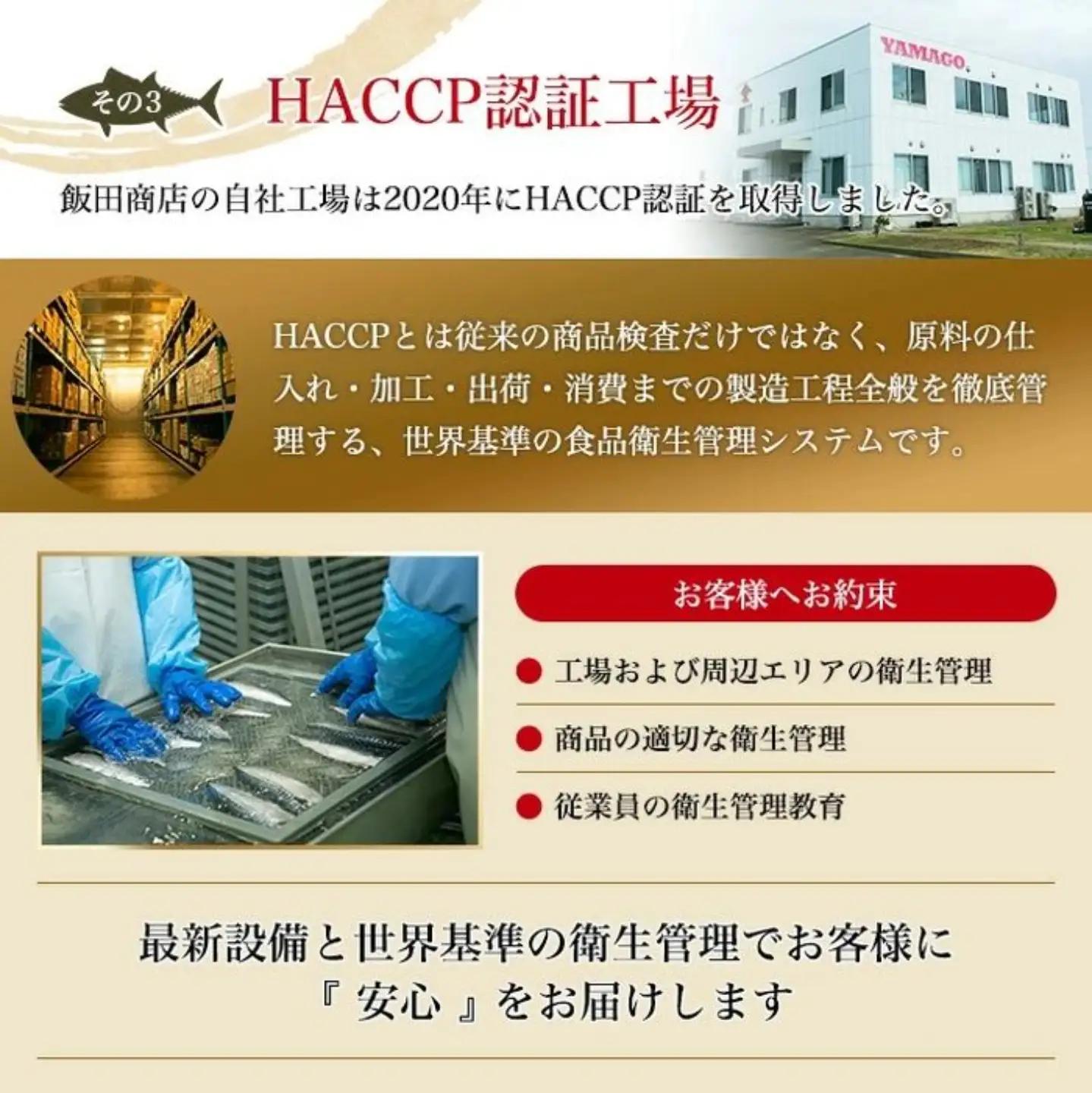 〆鯖 2種 食べ比べ 6枚 鯖