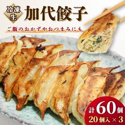 ふるさと納税 御前崎市 冷凍生加代餃子 1パック(20コ入り)×3
