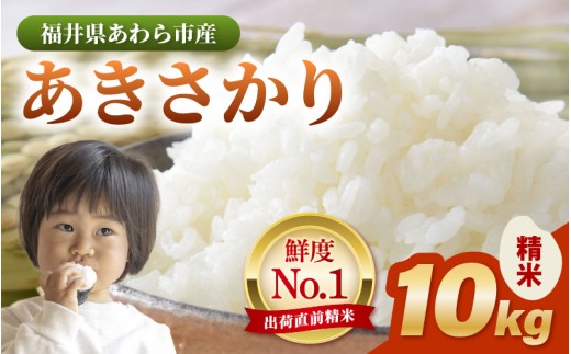 【令和7年産】あきさかり 精米 10kg × 1袋（計10kg） ／ 福井県産 ブランド米 ご飯 白米 お米 コメ 新鮮 [aw012-a043]