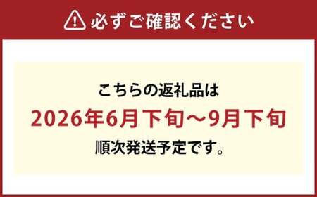 もっとも旬な桃をお届け 岡山の桃 3.6キロ【2026年6月下旬～9月下旬まで順次発送予定】【桃 人気フルーツ 人気桃 おすすめフルーツ 岡山桃 岡山フルーツ 岡山県 倉敷市】