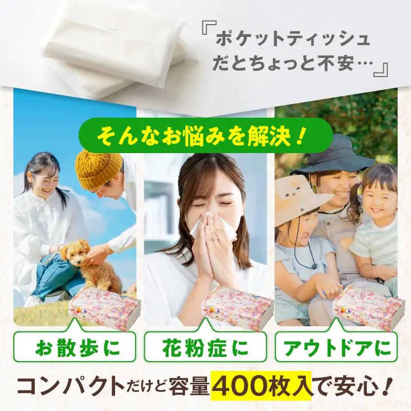 ソフトパックティッシュ 60パック×400枚 ティッシュ