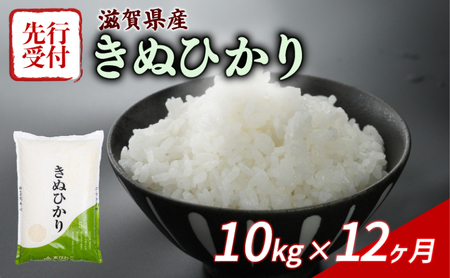 米定期便 令和7年産 きぬひかり 10kg×12ヶ月 米定期便 米定期便 米定期便 米定期便 米定期便