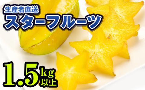 【2026年2月から順次発送】生産者直送スターフルーツ　1.5kg以上