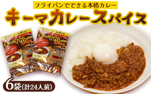 本格 キーマカレー スパイス 6袋 24人前（1袋4人前） | 簡単 本格 スパイス レシピ カレー セット 小麦粉不使用 グルテンフリー カレー粉 人気 おすすめ 夢叶ベース 京都府 綾部市