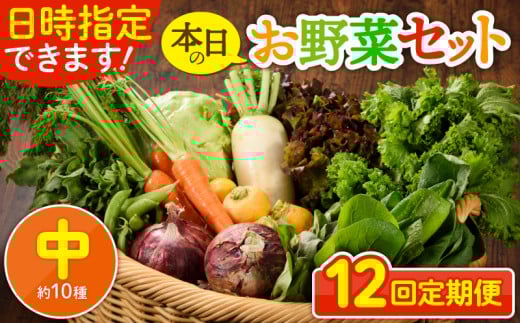 【12回定期便】日時指定OK！本日のお野菜セット 〈中サイズ/約10種〉 2～3人用 新鮮 産地直送 野菜詰め合わせ 有機栽培 野菜 果物 野菜セット 野菜定期便 送料無料 【オーガニックのまち 宮崎県綾町】