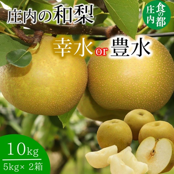 
                  食の都庄内　庄内の和梨【幸水or豊水】約10kg　※8月下旬より順次配送
                