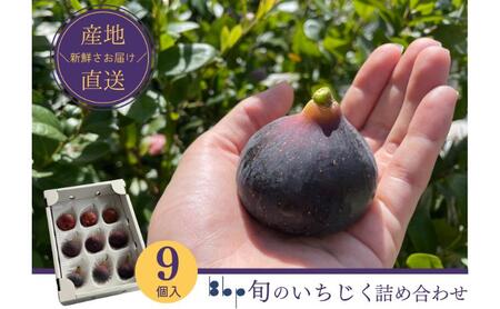 いちご 詰め合わせ 9個入り フルーツ 産地直送 いちご