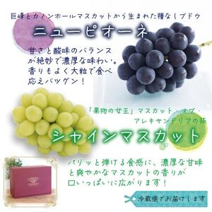 岡山　花笑み農園『ニューピオーネ＆シャインマスカット』贈答用　約2kg　PS-2　9月中旬～順次発送【配送不可地域：離島・北海道・沖縄県】【1627359】