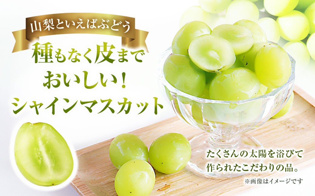 【2025年発送】ぶどう 山梨県産 シャインマスカット1kg以上 2房