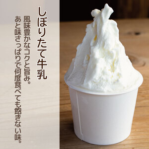 ジェラート イタリアンジェラート しぼりたて牛乳 8個 アイス ジェラート アイス ジェラート アイス ジェラート