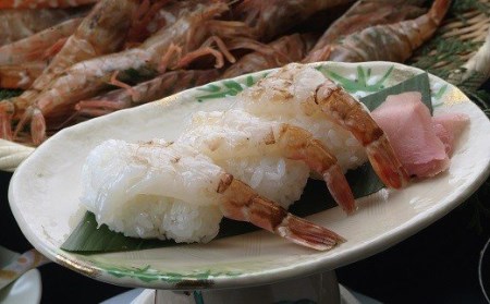 【D-1】モサエビ