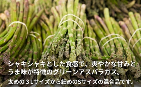 不揃い グリーン アスパラガス 約2kg 野菜 グリーンアスパラガス 