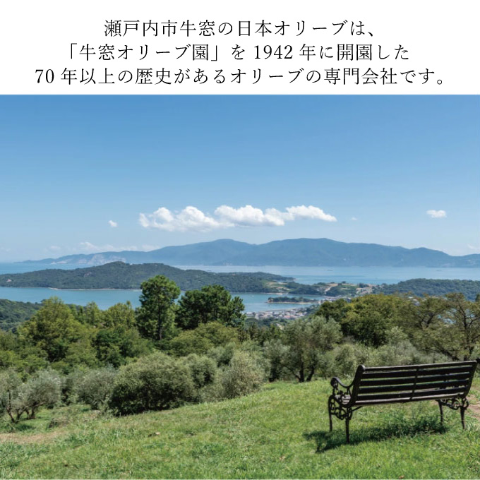 オリーブオイル 赤屋根ガーリックオリーブオイル 450g 3本 セット 油 オリーブ油 食用油 調味料