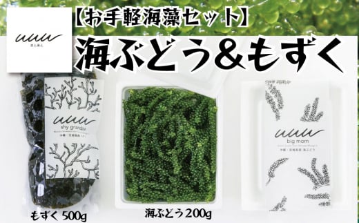 【お手軽沖縄海藻セット】海ぶどう（200g）＆もずく（500g）【2026年4月より順次発送】