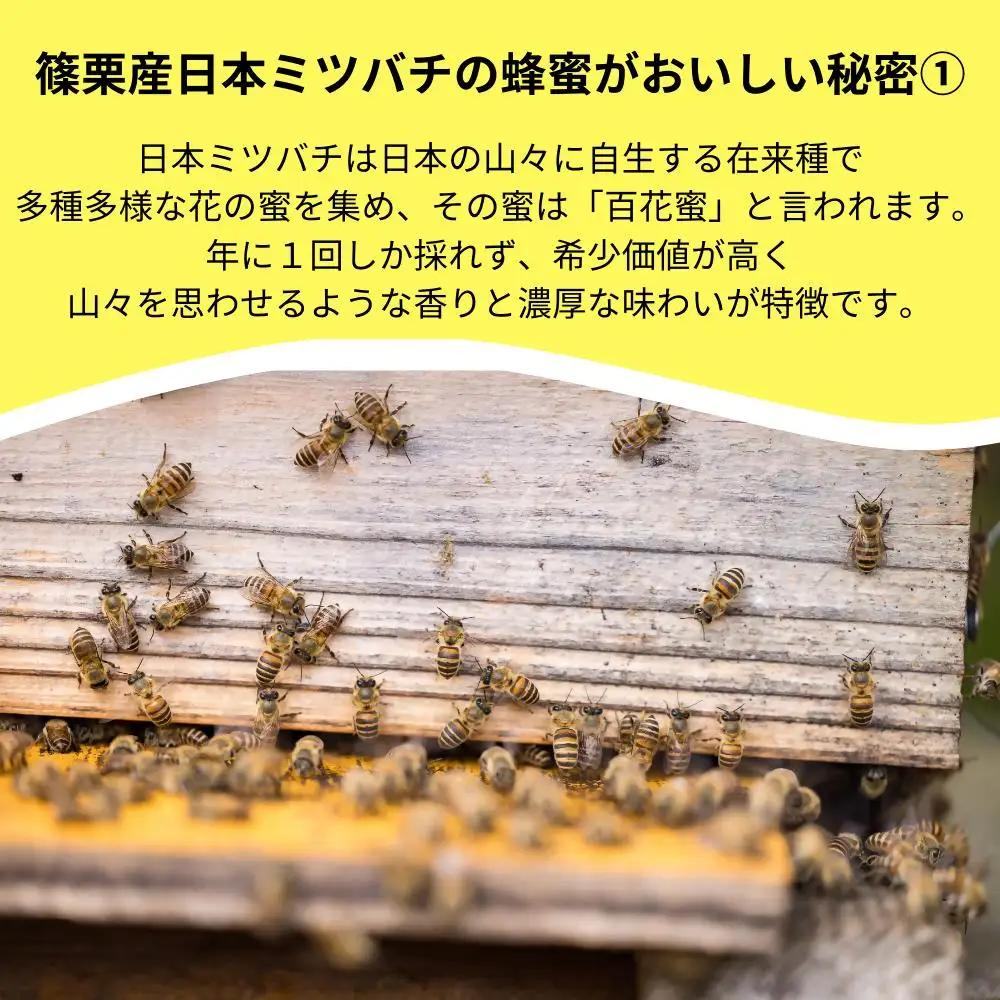 日本蜜蜂「ささぐり里山のはちみつ」（百花蜜）500g AA001 