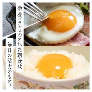 こだわりの卵「イーハトーヴの四季」と卵かけ醤油付き「朝食たまご」のセット【冷蔵】 [J0017]