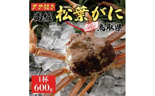 
【2025年発送】特撰　松葉がに（なま）【タグ付き】600g超の大きいサイズ　食べ応えあり　1杯
