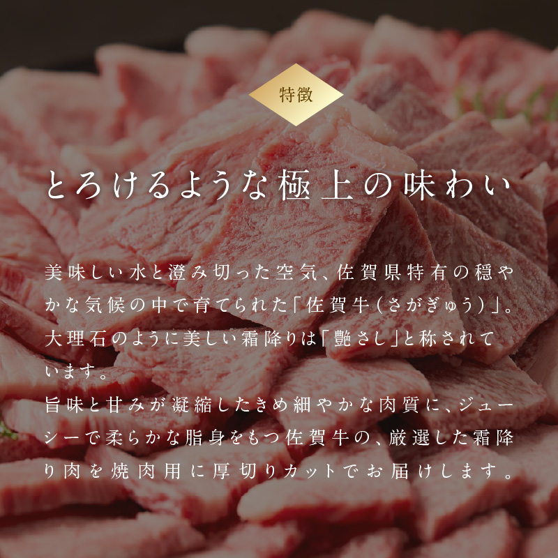 【最速配送】中山牧場 佐賀牛 霜降り焼肉 400g ／ バーベキュー BBQ 牛肉 肉 お肉 佐賀牛 赤身 霜降り モモ ウデ 肩ロース 三角バラ 焼き肉 焼肉セット A5 A4 a5 a4 黒毛和牛