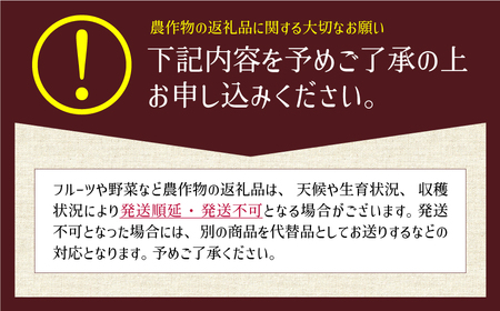 《先行受付！6月20日以降順次発送》有機JASとっぺんトマト　約4kg