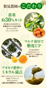 ゆらみかん 10kg  ※2026年11月下旬頃から12月上旬頃に順次発送予定 【kzmn004-r-10】