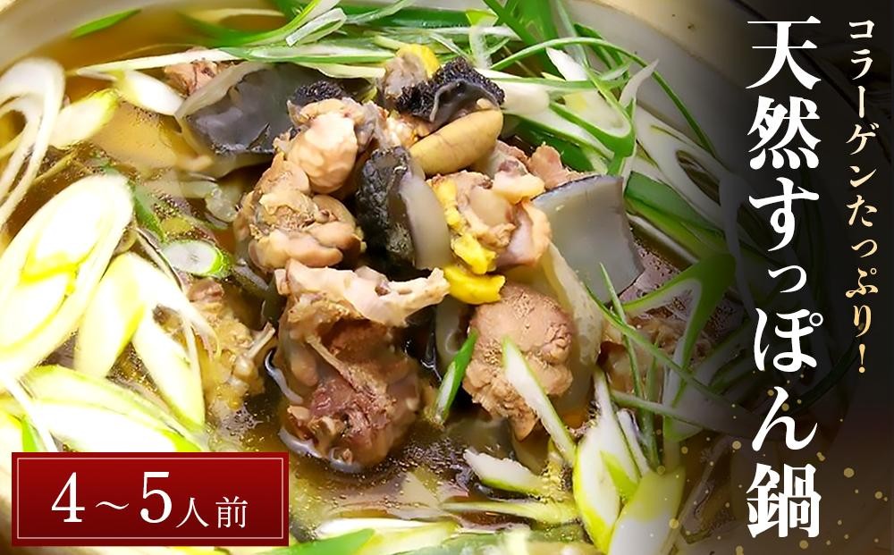 
            天然すっぽん鍋【4～5人前】｜福岡県 筑前町 福岡 九州 返礼品 お取り寄せグルメ 取り寄せ グルメ 食品 お取り寄せ 天然 すっぽん 鍋 すっぽん鍋コラーゲン 冷蔵 送料無料 株式会社筑前町ファーマーズマーケットみなみの里 AE048
          