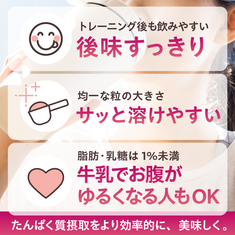 【定期便】DAILY BASIC+ WPI チョコレート（3か月連続お届け） 【0105-009】_イメージ3