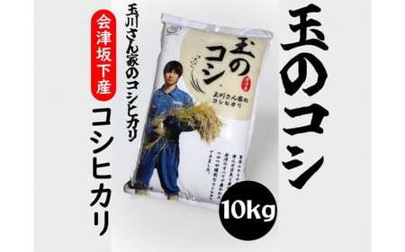 36-A （株）T.Farming　玉のコシ（玉川さんちのコシヒカリ）（令和6年産米）会津坂下産コシヒカリ　白米10kg×1袋　※沖縄・離島への配送不可