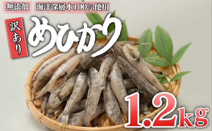 めひかり 1200g 白身 骨 丸ごと 魚 おかず おつまみ カルシウム ミネラル 天然塩 海洋深層水 丸宮 宮本商店 高知県 須崎市 MMY036