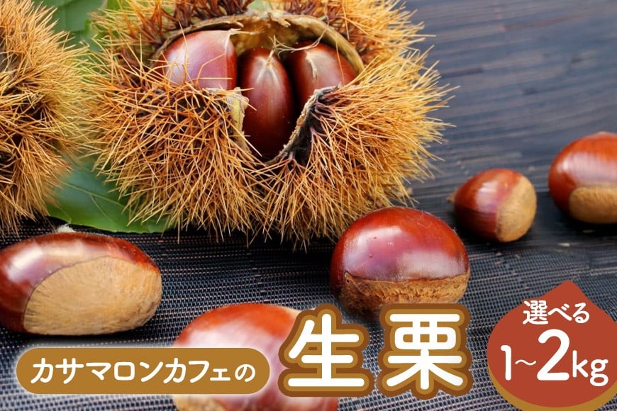
            【2025年 秋 出荷】生栗 選べる内容量 1kg×1～2袋 1kg～2kg 特大 サイズ 3L 以上 大粒 大きい 数量限定くり クリ 笠間の栗 栗ごはん カサマロン 国産  先行予約 モンブラン 栗きんとん 冷蔵 笠間市
          