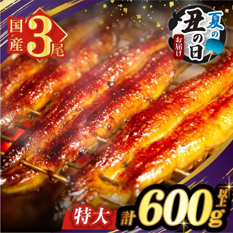 【夏の丑の日までにお届け!!】うなぎ蒲焼3尾(さんしょう・たれ付き)計600g以上 鰻 魚 魚介 加工品 国産_T026-0146-US2