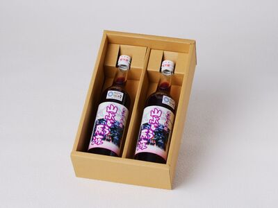 大江の恵 山ぶどう原液2本セット(各500ml） 003-026