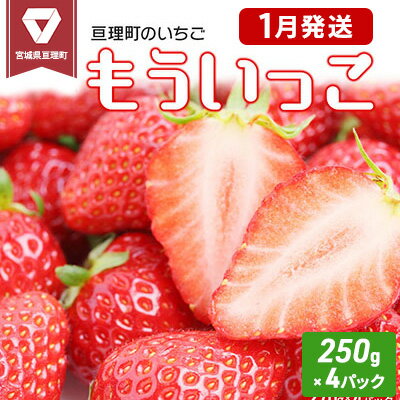 【ふるさと納税】いちご 亘理町のいちご もういっこ 250g × 4パック オンライン決済限定 先行受付中！！ 苺 果物 フルーツ イチゴ セット 　お届け：2026年1月上旬頃から1月下旬頃まで