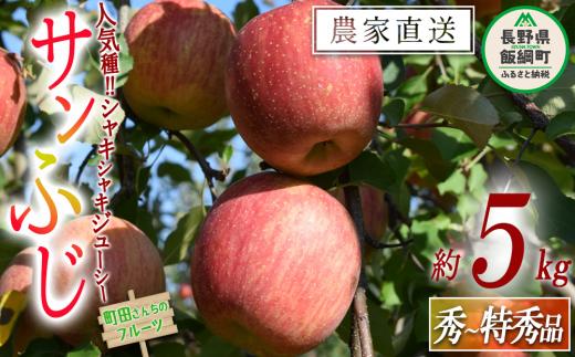 りんご サンふじ 秀 ～ 特秀 5kg  沖縄県への配送不可 2026年12月上旬頃から2027年2月上旬頃まで順次発送予定 町田さんちのりんご 長野県 飯綱町 [0603]